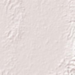 Del Pilar Terrain Map