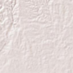 Carmen Terrain Map