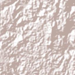 Remedios Terrain Map
