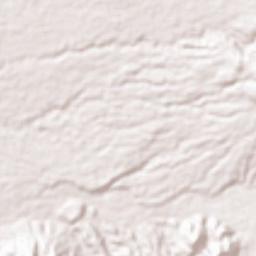 Malasila Terrain Map