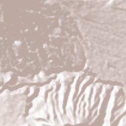 Baracatan Terrain Map