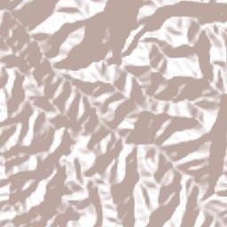 Cañasgordas Terrain Map