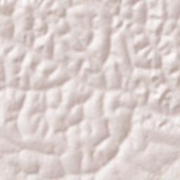 Djohong Terrain Map