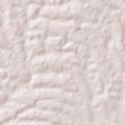 Arrah Terrain Map