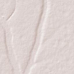 Idi Iroko Terrain Map