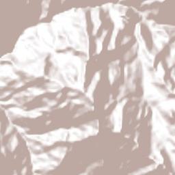 Guacamayas Terrain Map