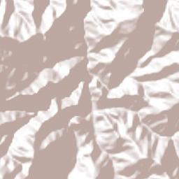 Onzaga Terrain Map