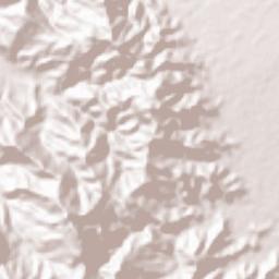 Polonoling Terrain Map