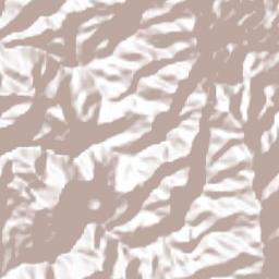 Heliconia Terrain Map
