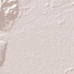Hato Corozal Terrain Map