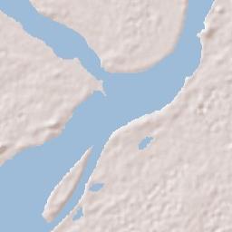 Puerto Carreño Terrain Map