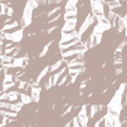San Francisco Terrain Map
