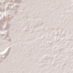 Paz de Ariporo Terrain Map