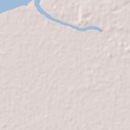Nieuw Nickerie Terrain Map