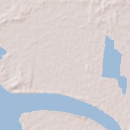 Nieuw Amsterdam Terrain Map