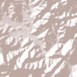 Floresta Terrain Map