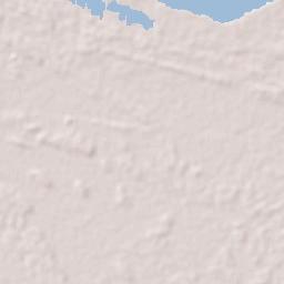 Totness Terrain Map