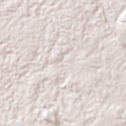 Mamfe Terrain Map