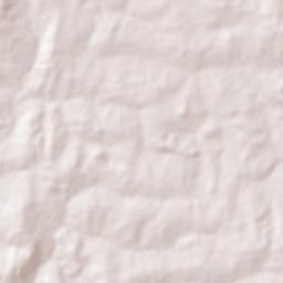 Bambari Terrain Map