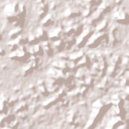Puerto Ayacucho Terrain Map