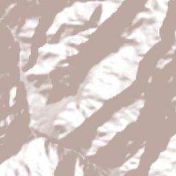 Labranzagrande Terrain Map