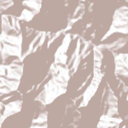 El Peñón Terrain Map