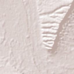 Monterrey Terrain Map