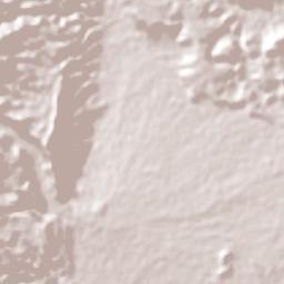 Venadillo Terrain Map