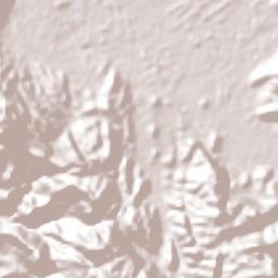 Bojacá Terrain Map