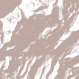 Junín Terrain Map