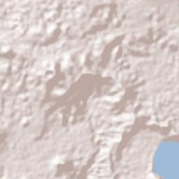Bekondo Terrain Map