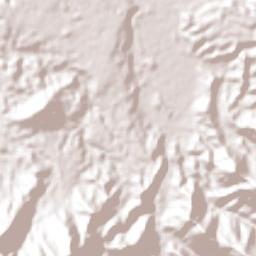 Caicedonia Terrain Map