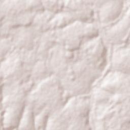 Berberati Terrain Map