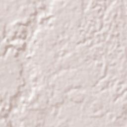 Muyuka Terrain Map