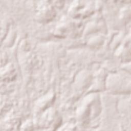 Abong Mbang Terrain Map
