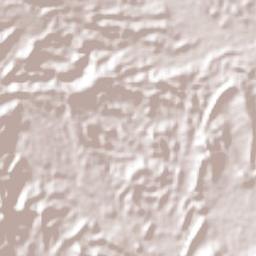 Ortega Terrain Map