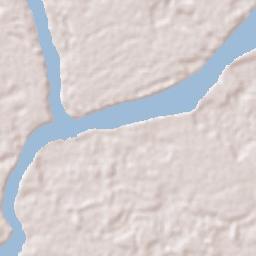 Inírida Terrain Map
