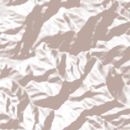 Florida Terrain Map