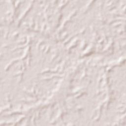 Cacahual Terrain Map