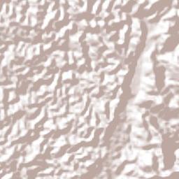 López de Micay Terrain Map
