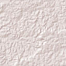 Mapiripana Terrain Map