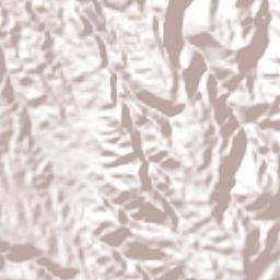 Piendamo Terrain Map