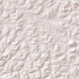 Bitam Terrain Map