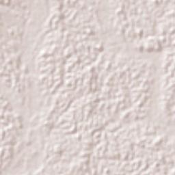 El Paujil Terrain Map