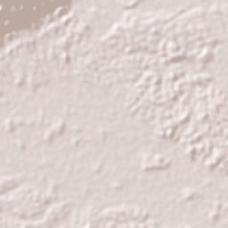 Morelia Terrain Map