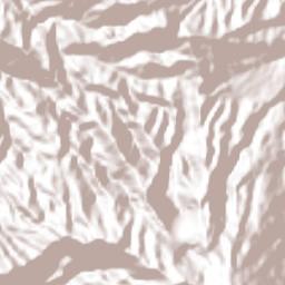 Nariño Terrain Map