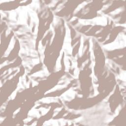 Ricaurte Terrain Map