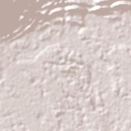 Piamonte Terrain Map