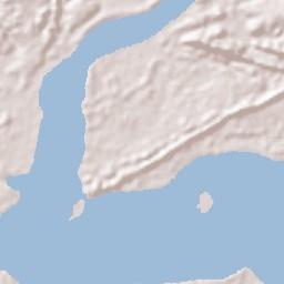 Cogo Terrain Map