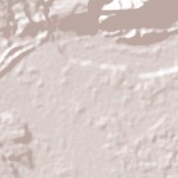 Puerto Guzmán Terrain Map